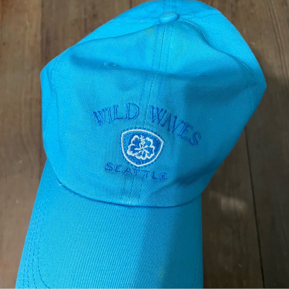 Wild Waves Seattle Blue Vintage Hat